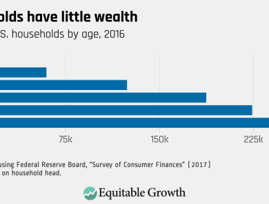 Equitable-Growth_Young-Household Equitable-Growth_Young-Household